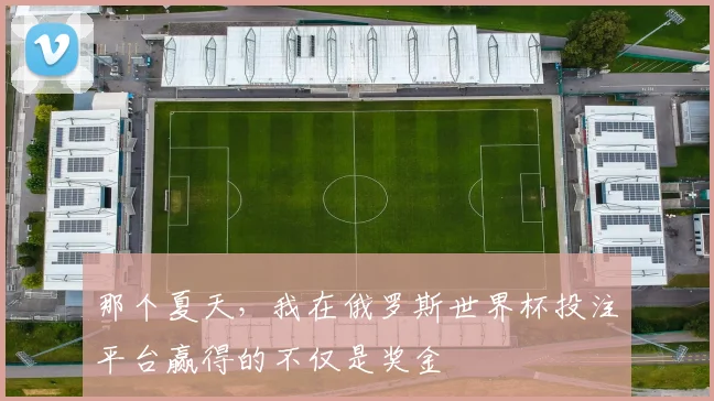 那个夏天，我在俄罗斯世界杯投注平台赢得的不仅是奖金