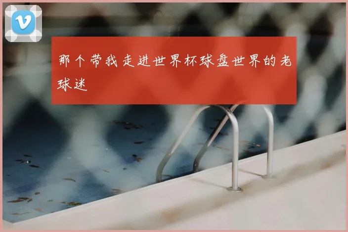 那个带我走进世界杯球盘世界的老球迷